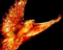 Phoenix121's Avatar